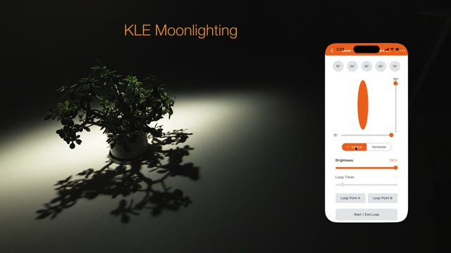 Moonlighting video preview